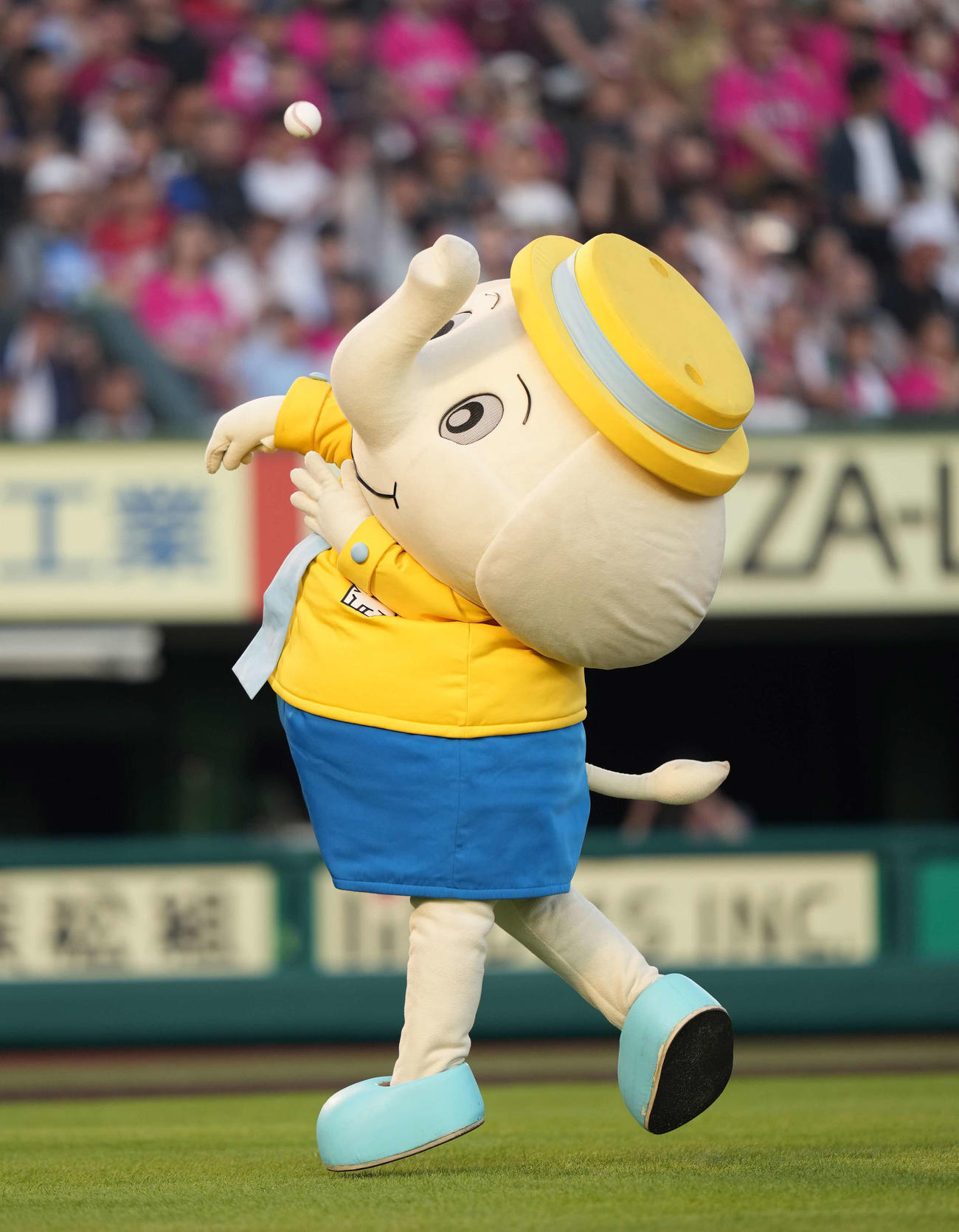 楽天対日本ハム　始球式を行う象印公式マスコットのそうざん（撮影・井上学）