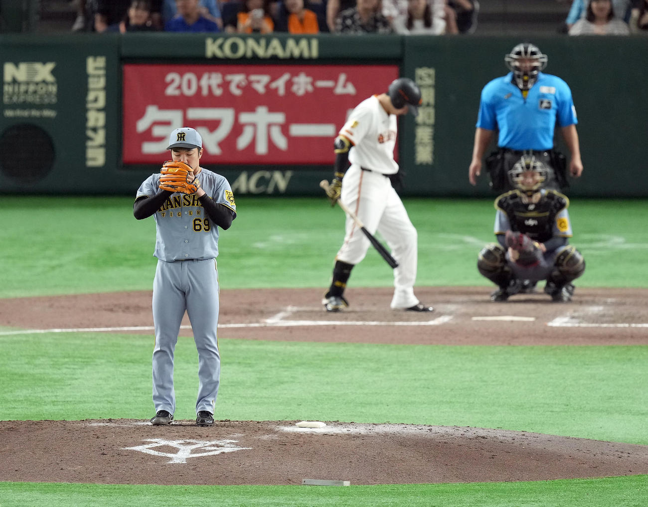 巨人対阪神　8回からマウンドに上がり集中する阪神石井（撮影・たえ見朱実）