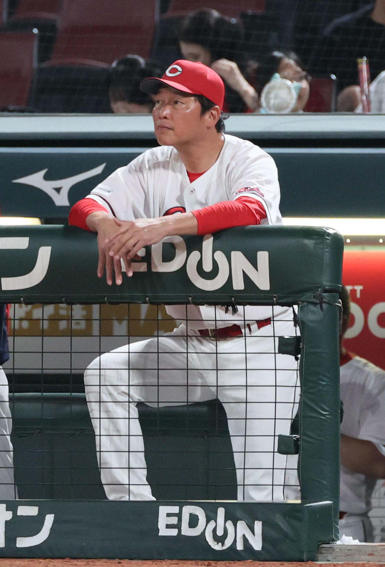 広島対ヤクルト　敗れた新井監督（撮影・加藤孝規）