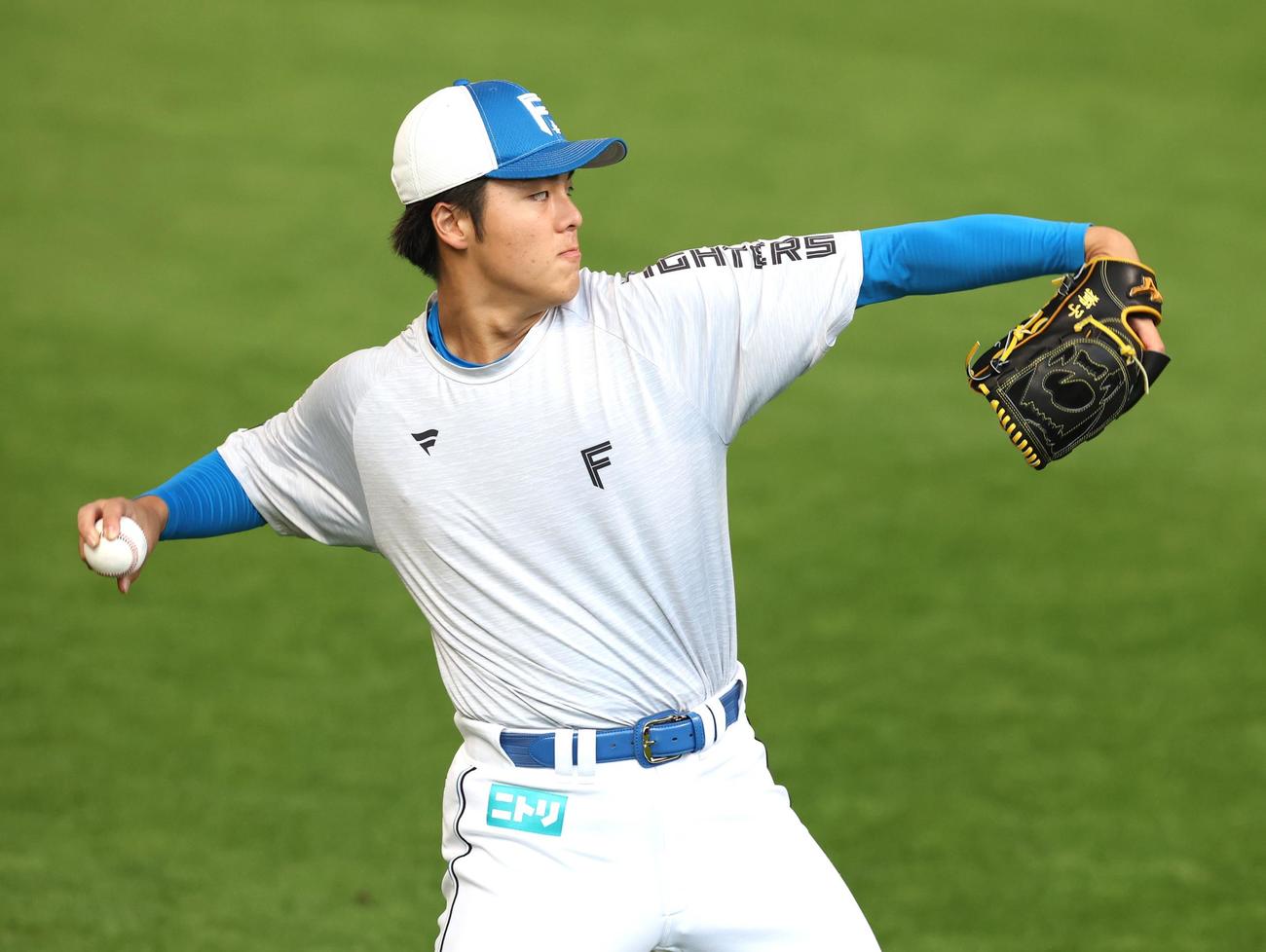 日本ハム対オリックス　キャッチボールする柴田（撮影・黒川智章）