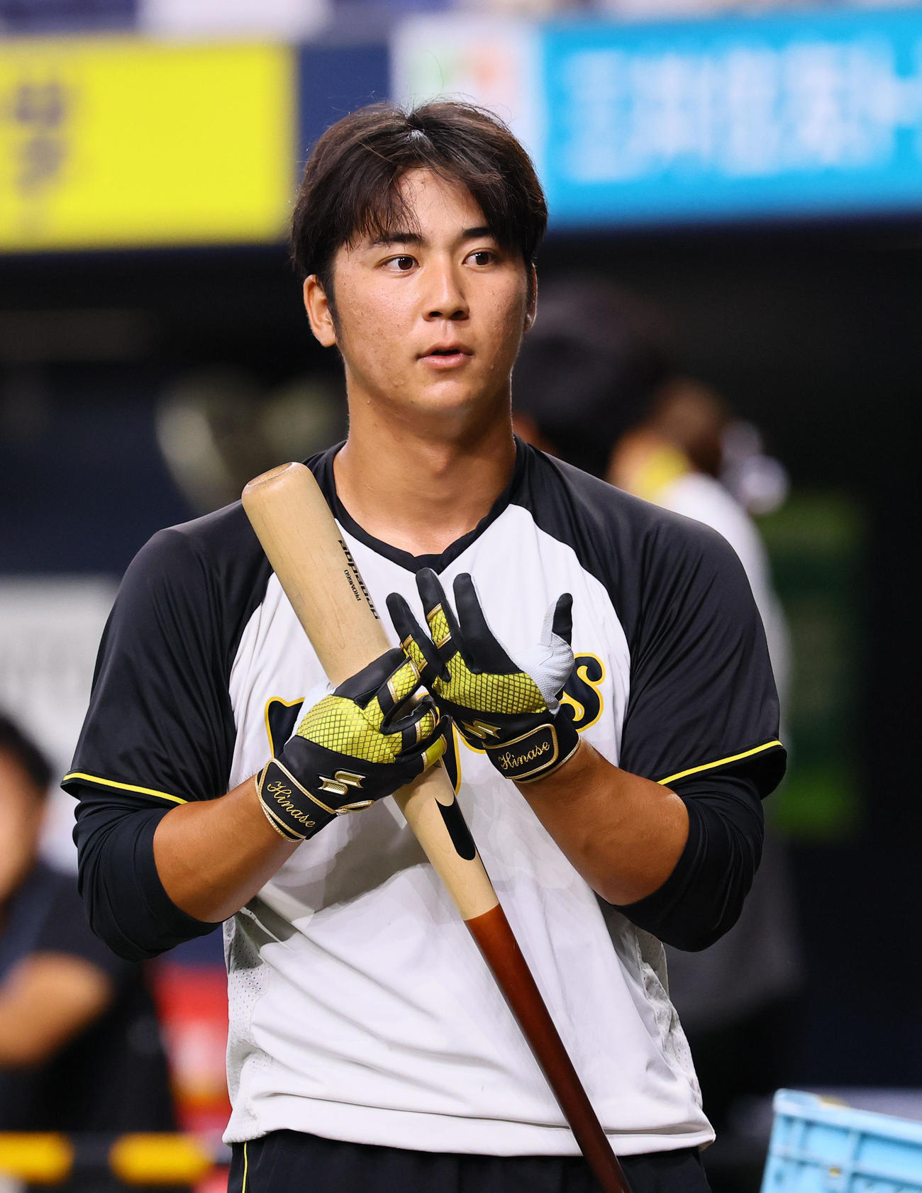 阪神対中日　打撃練習をする阪神井坪（撮影・藤尾明華）