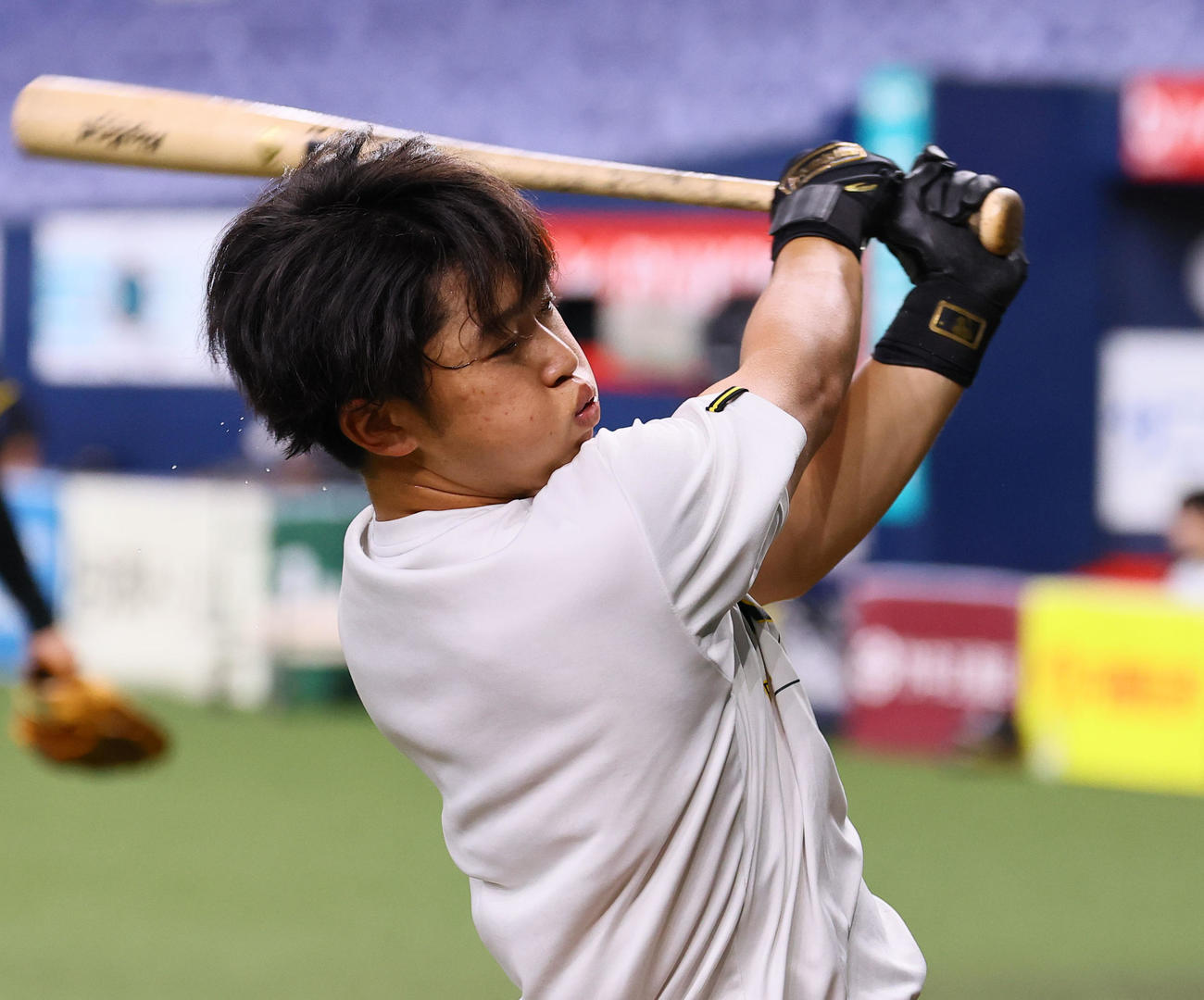 阪神対中日　打撃練習をする阪神井坪（撮影・藤尾明華）