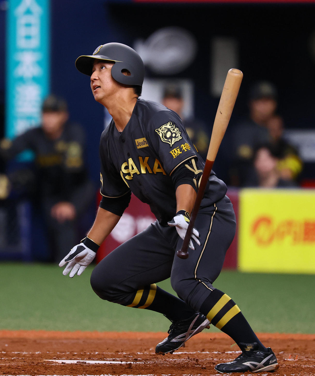 阪神対中日　2回裏阪神1死一、二塁、井坪は三塁内野安打を放つ（撮影・藤尾明華）