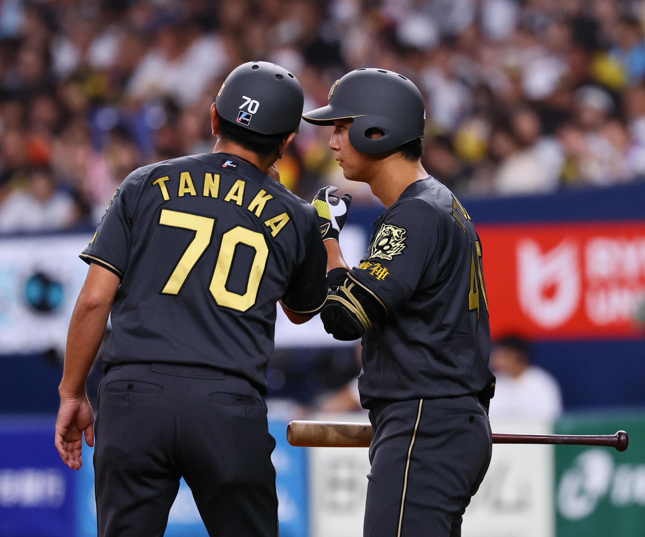 阪神対中日　4回裏阪神無死一塁、サインを確認する井坪（撮影・藤尾明華）