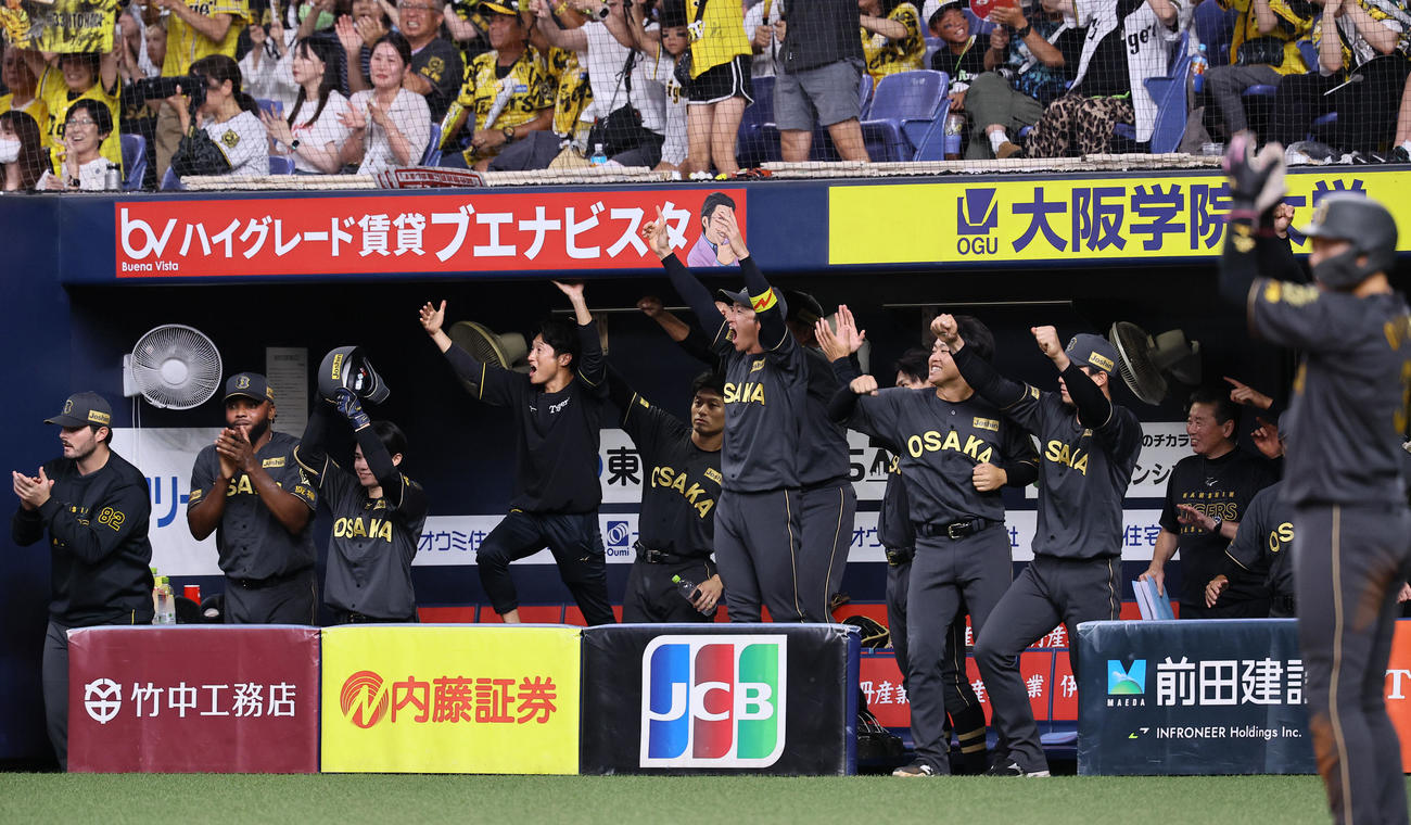 阪神対中日　6回裏阪神2死一、三塁、代打糸原の勝ち越し適時打に、喜ぶ阪神ナイン（撮影・藤尾明華）