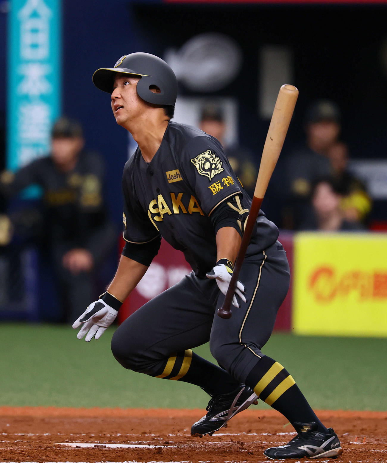 阪神対中日　2回裏阪神1死一、二塁、井坪は三塁内野安打を放つ（撮影・藤尾明華）