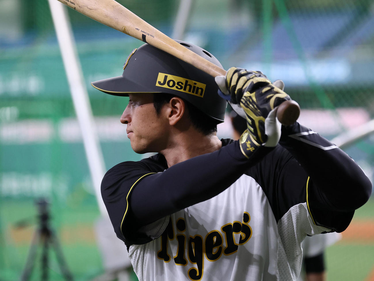 阪神対中日　打撃練習をする阪神近本（撮影・藤尾明華）