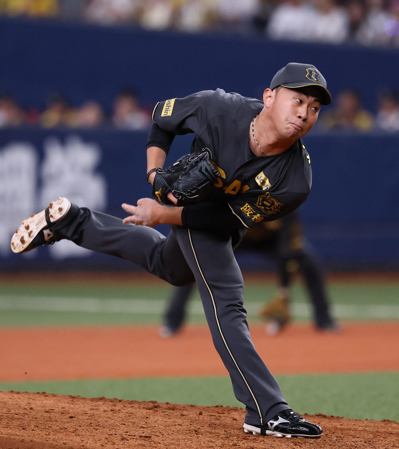 阪神対中日　8回、3番手で登板した阪神桐敷（撮影・藤尾明華）