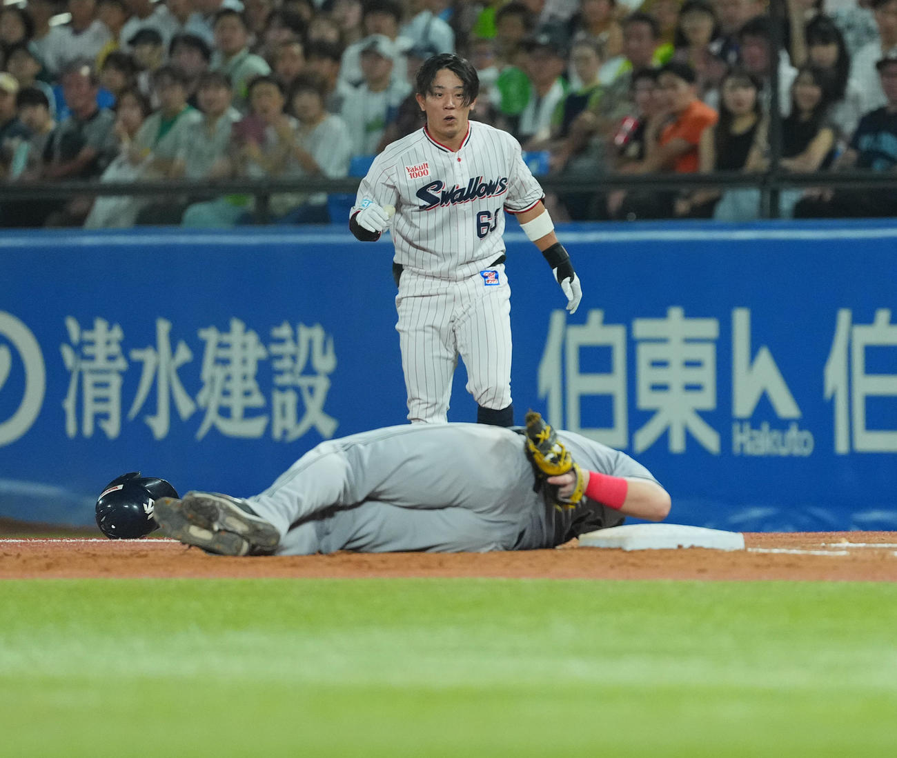 ヤクルト対巨人　5回裏ヤクルト無死、増田（後方）と交錯し、転倒する一塁手リチャード（撮影・菅敏）