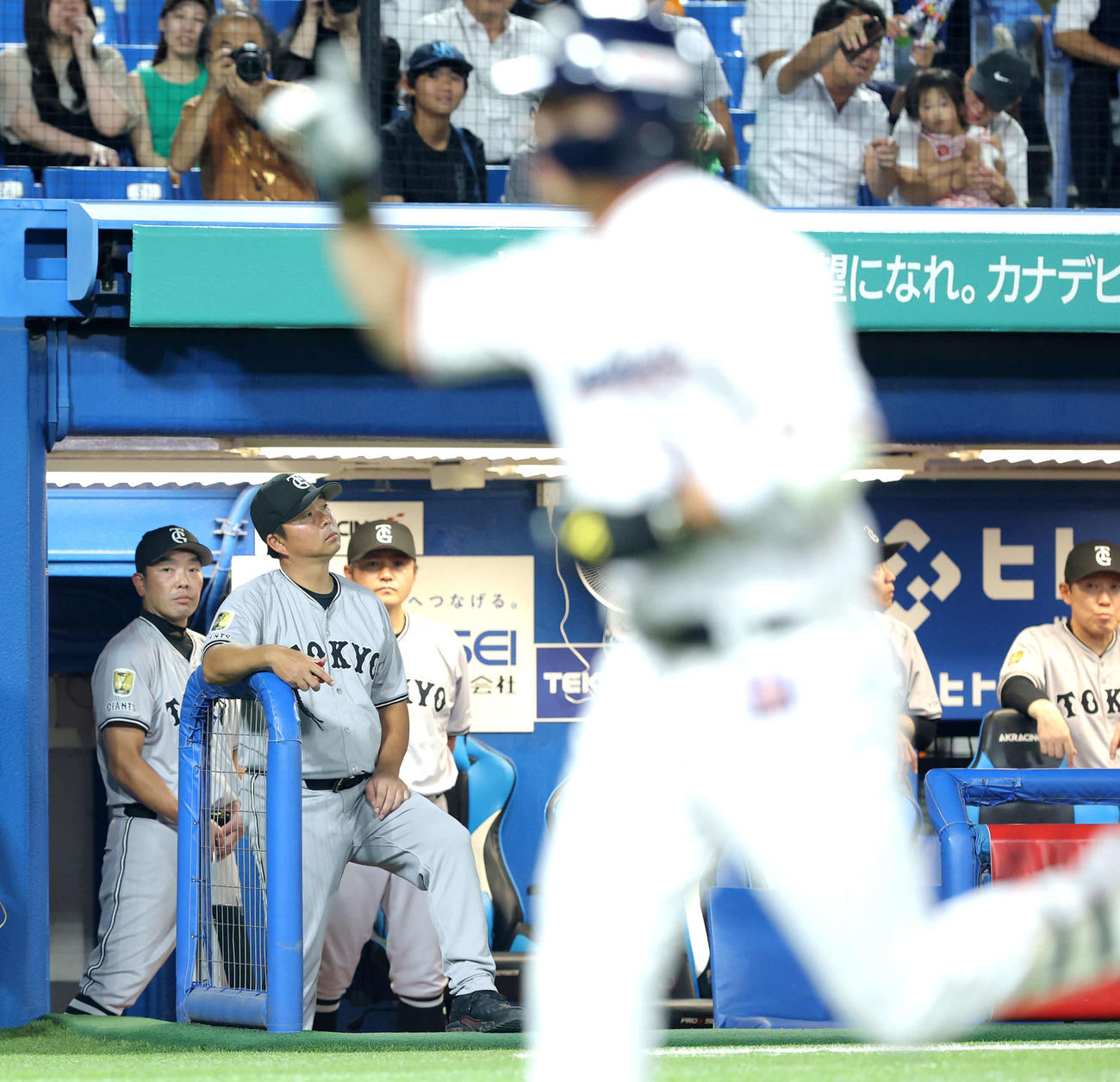 ヤクルト対巨人　4回裏ヤクルト1死一塁、左越え2点本塁打で生還する山田（手前）を見つめる阿部監督（後方左）（撮影・河田真司）