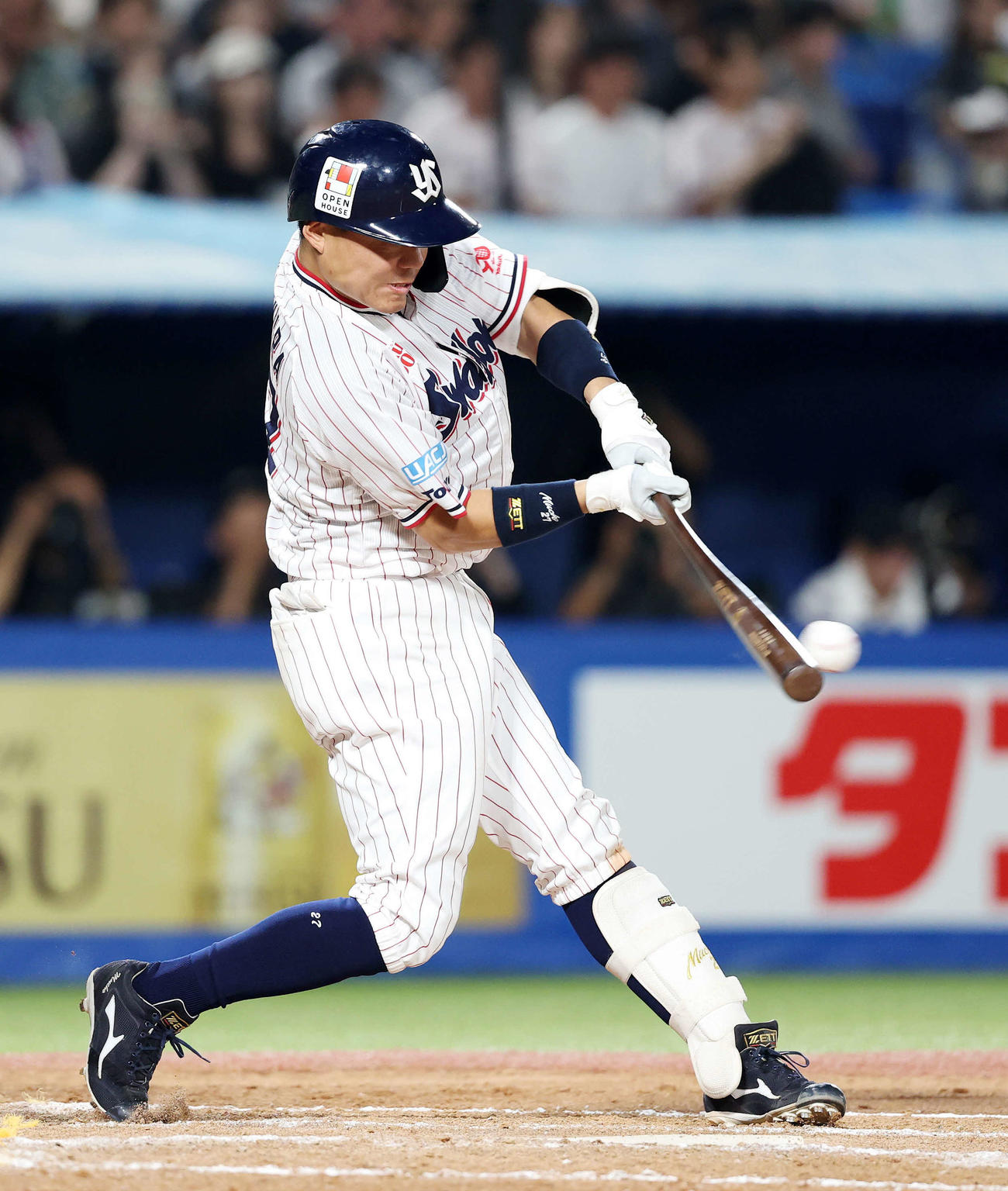 ヤクルト対巨人　7回裏ヤクルト2死一塁、中村悠は左前打を放つ（撮影・鈴木正人）