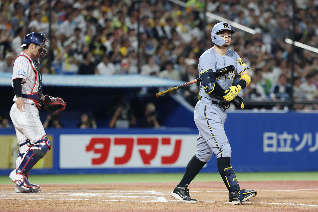 ヤクルト対阪神　8回表阪神2死、四球を選ぶ佐藤輝（撮影・宮地輝）