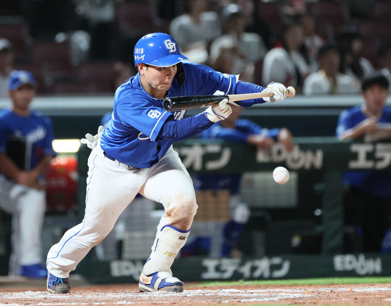 広島対中日　11回表中日1死一、三塁、スクイズバントを決める石伊（撮影・加藤孝規）