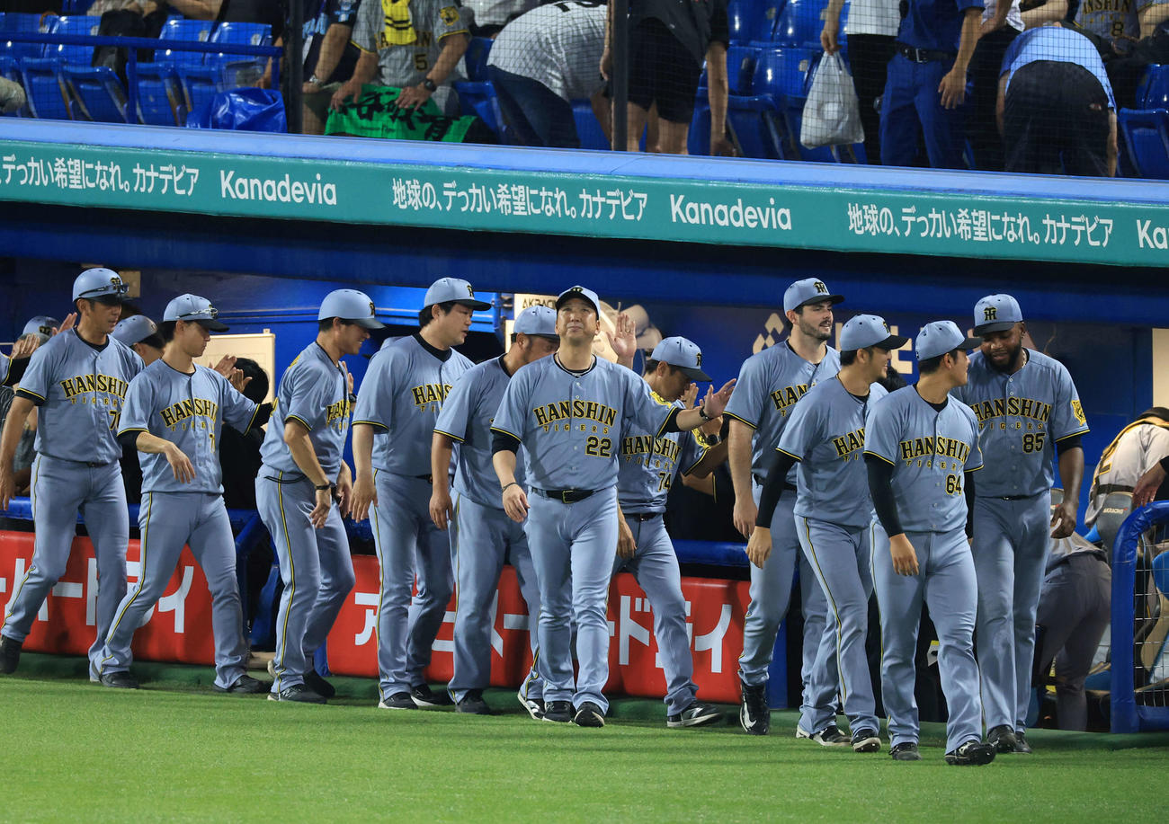 ヤクルト対阪神　延長戦を制しハイタッチで喜び合う藤川監督（中央）ら阪神の選手たち（撮影・浅見桂子）