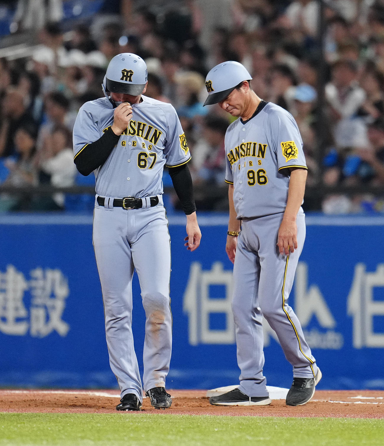 ヤクルト対阪神　6回表阪神1死満塁、リプレー検証でも結果が覆らず遊ゴロ併殺に倒れ、汗を拭う高寺（撮影・鈴木みどり）