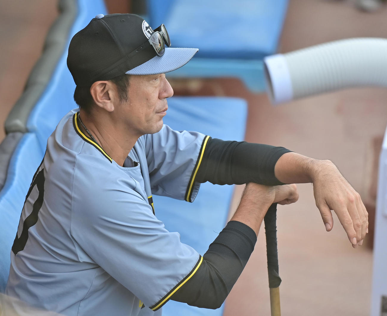 ヤクルト対阪神　試合前、練習を見る阪神田中コーチ（撮影・清水貴仁）
