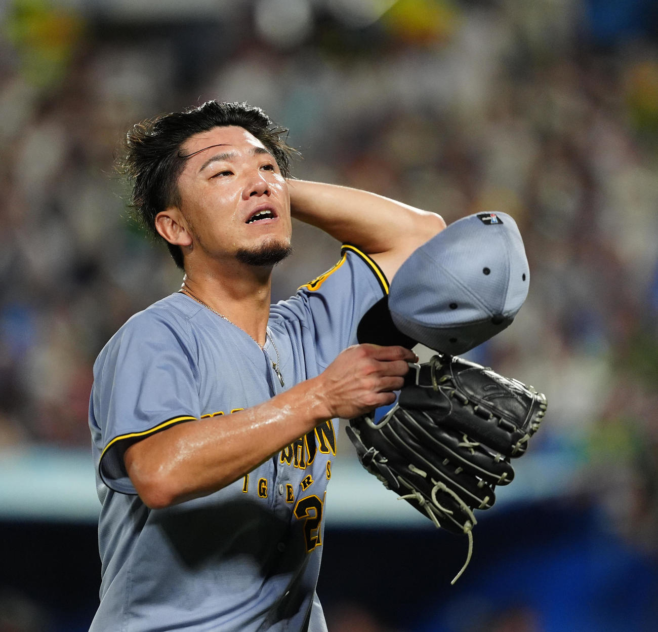 ヤクルト対阪神　4回裏を終えベンチに戻る阪神伊藤将（撮影・清水貴仁）