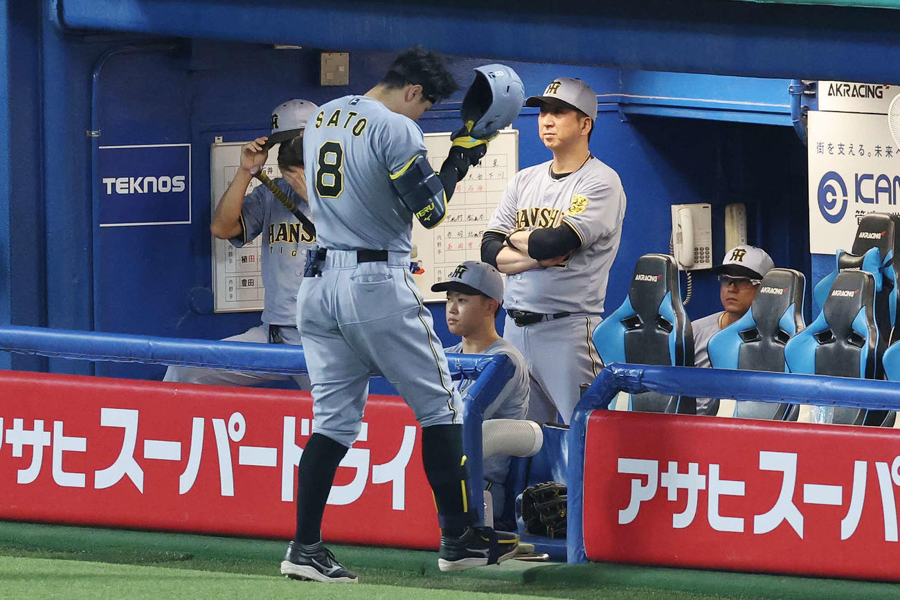 ヤクルト対阪神　6回表阪神1死一塁、佐藤輝（左）が空振り三振に倒れ厳しい表情の藤川監督（撮影・宮地輝）