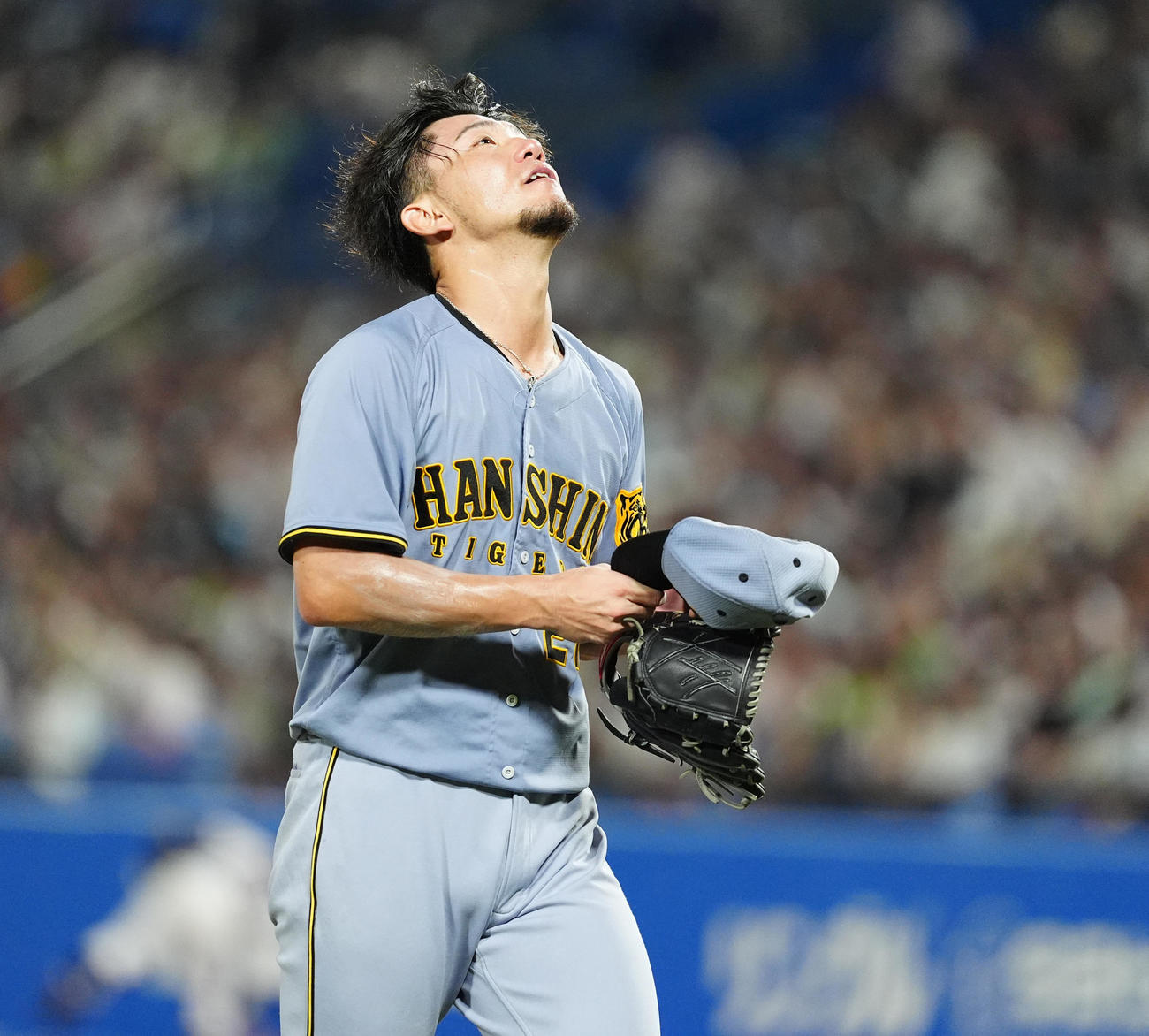 ヤクルト対阪神　6回裏を終えベンチに戻る阪神伊藤将（撮影・清水貴仁）