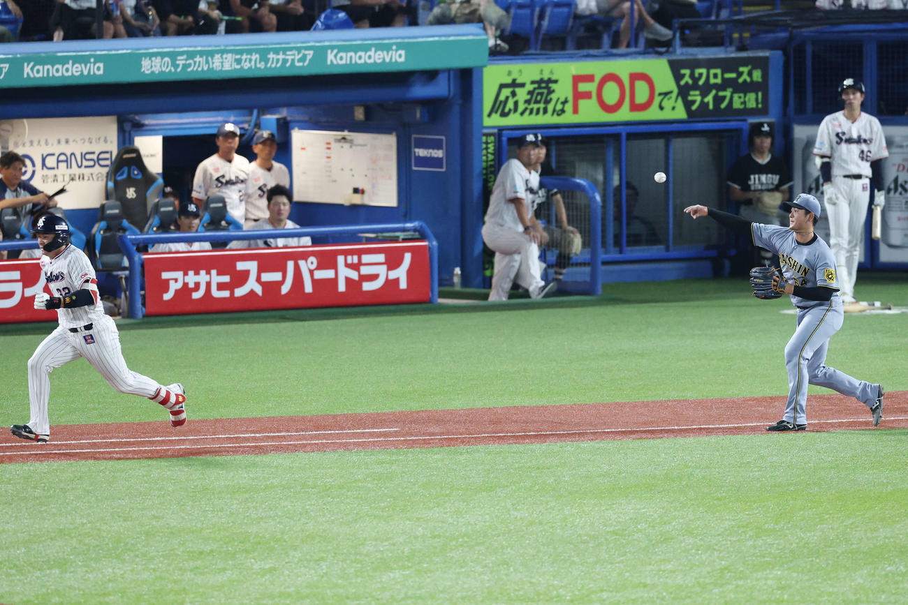 ヤクルト対阪神　11回裏ヤクルト2死、代打松本直を投ゴロに仕留める岡留（撮影・宮地輝）
