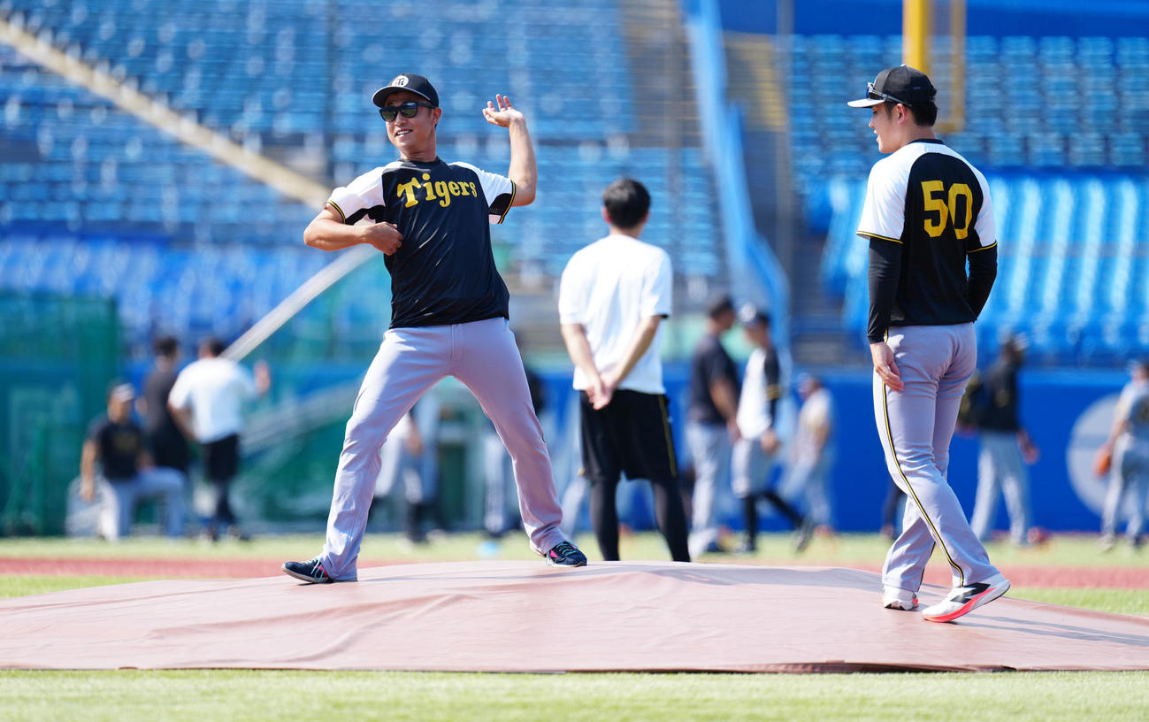 ヤクルト対阪神　試合前練習でマウンドの状態を確認する阪神島本（左）と富田（撮影・鈴木みどり）