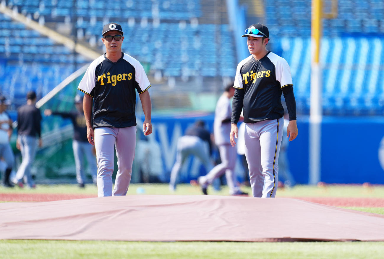 ヤクルト対阪神　試合前練習でマウンドの状態を確認する阪神島本（左）と富田（撮影・鈴木みどり）