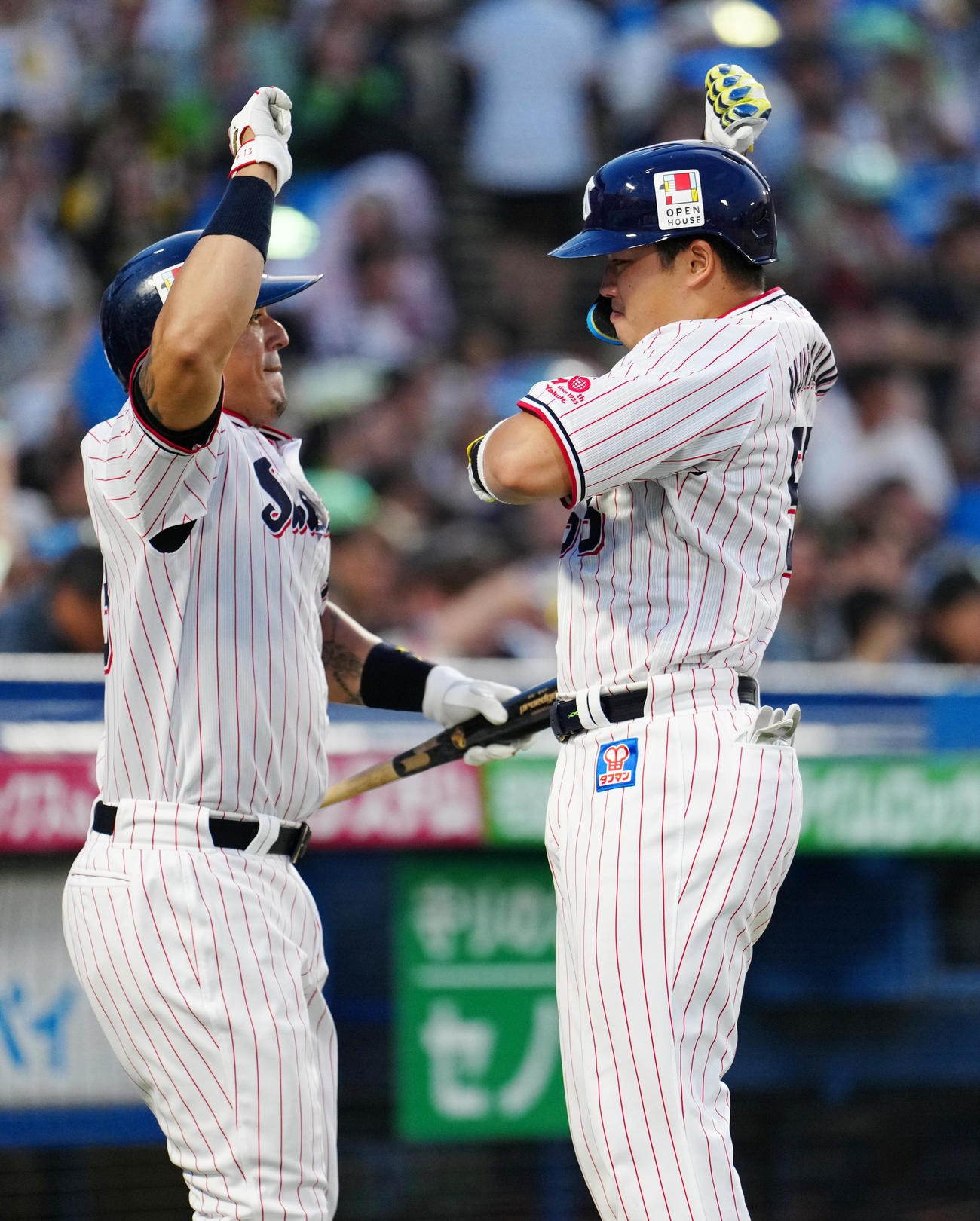 ヤクルト対阪神　4回裏ヤクルト無死、左中間にソロ本塁打を放った村上（右）はオスナとタッチを交わす（撮影・鈴木みどり）