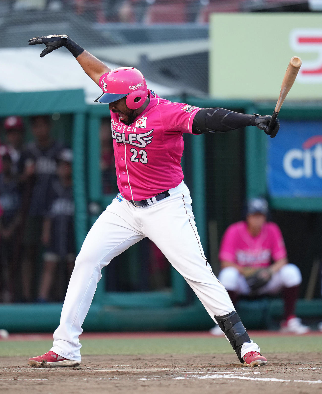 楽天対オリックス　5回裏楽天2死一塁、フランコは死球を受ける（撮影・足立雅史）
