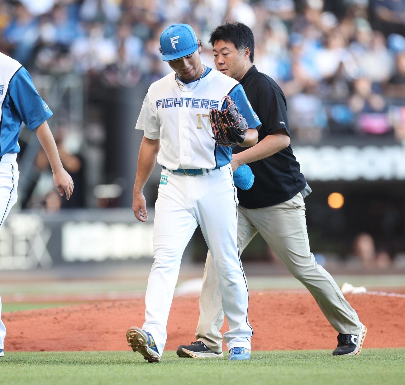 日本ハム対ソフトバンク　8回表ソフトバンク1死、打者周東のときに一旦ベンチに戻る伊藤（撮影・黒川智章）