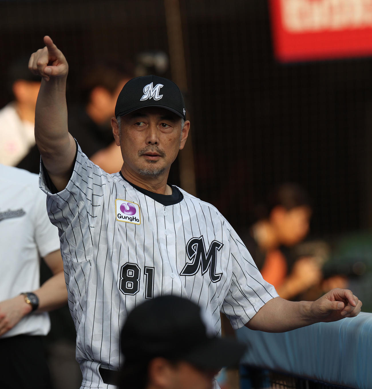ロッテ対西武　試合前　スタンドを指さすロッテ吉井監督（撮影・水谷安孝）