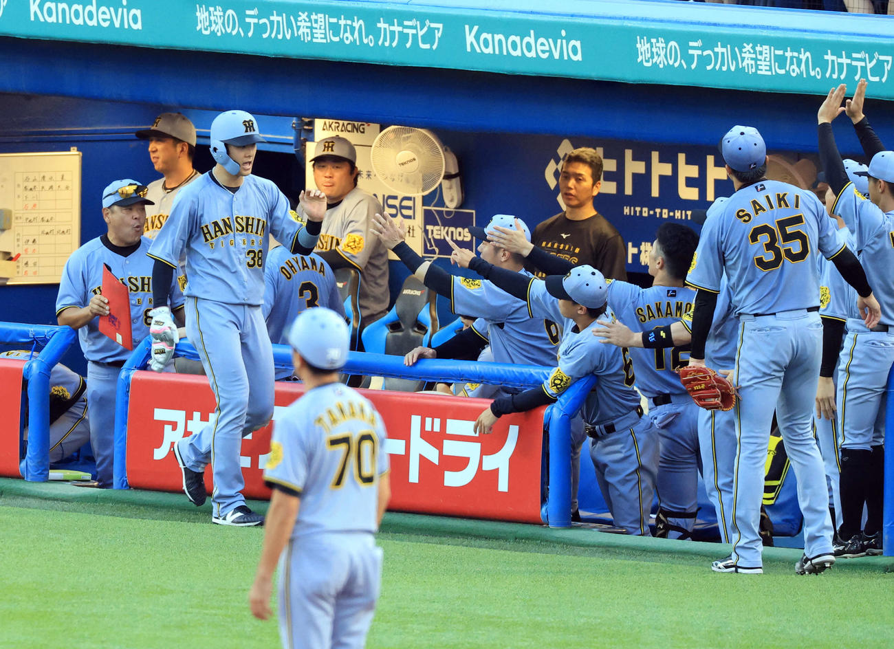 ヤクルト対阪神　3回表阪神2死一、二塁、中野の先制適時打で生還した小幡はナインとハイタッチ（撮影・浅見桂子）