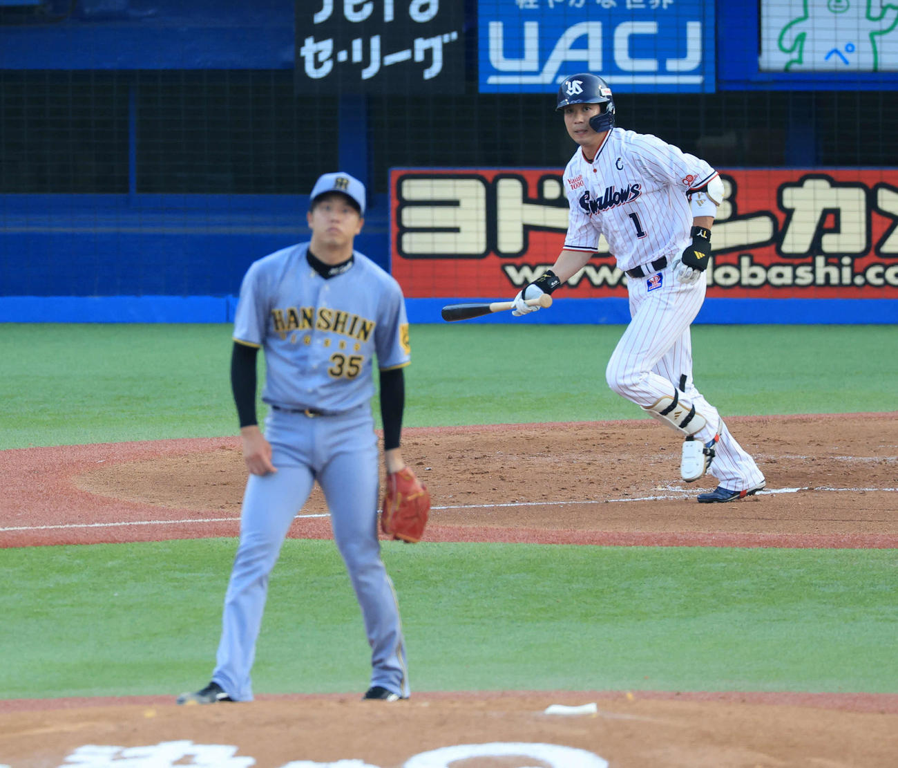 ヤクルト対阪神　2回裏ヤクルト1死、山田は中飛に倒れる（撮影・浅見桂子）