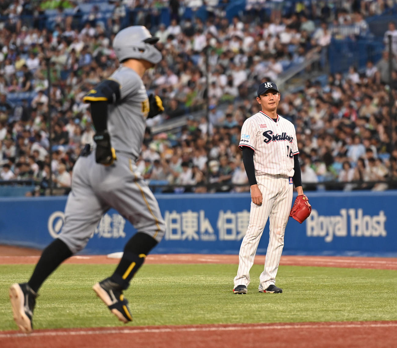 ヤクルト対阪神　4回表阪神無死、佐藤輝（左）に右越えソロ本塁打を浴びる奥川（撮影・清水貴仁）