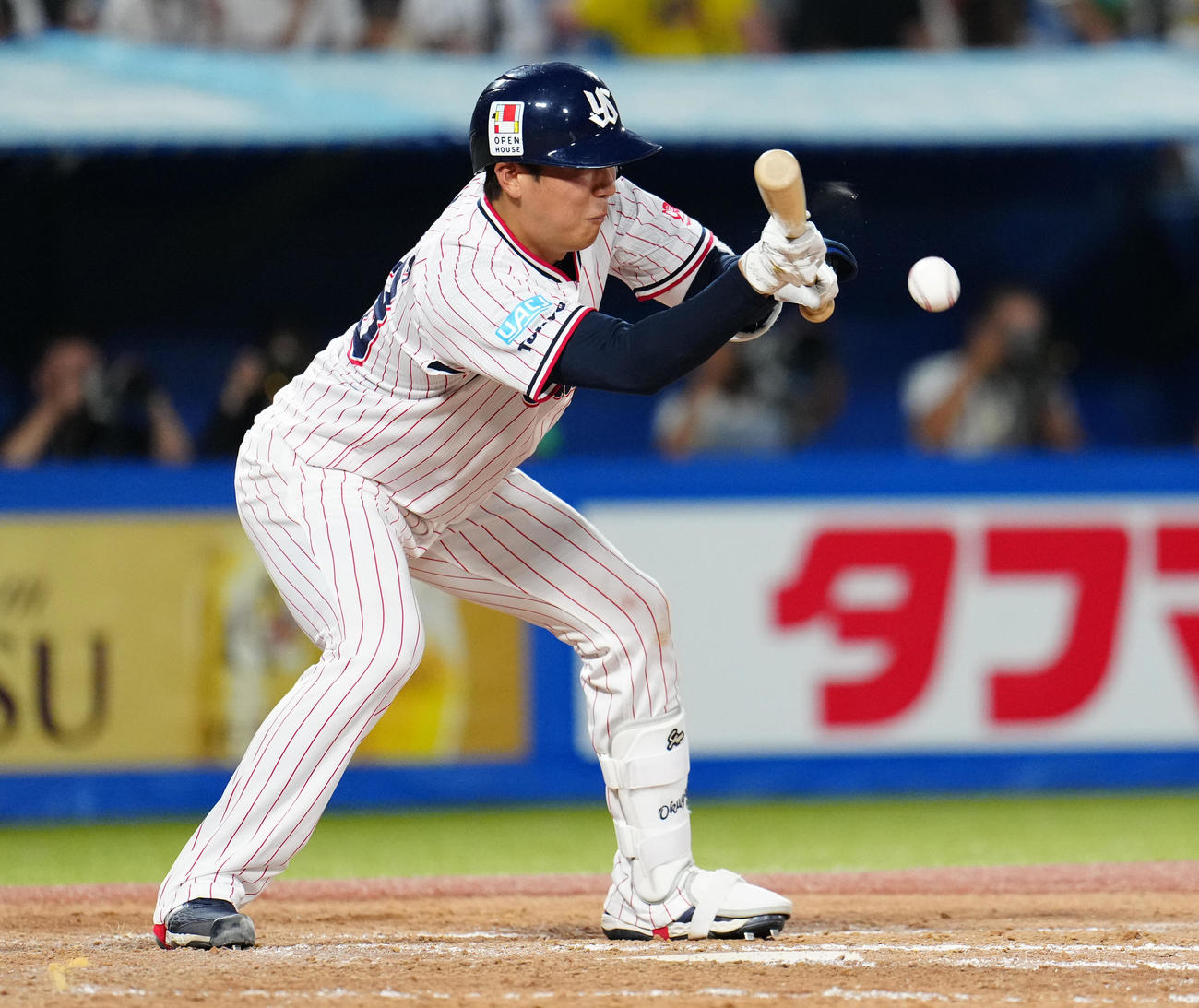 ヤクルト対阪神　5回裏ヤクルト無死二塁、送りバントを決める奥川（撮影・鈴木みどり）