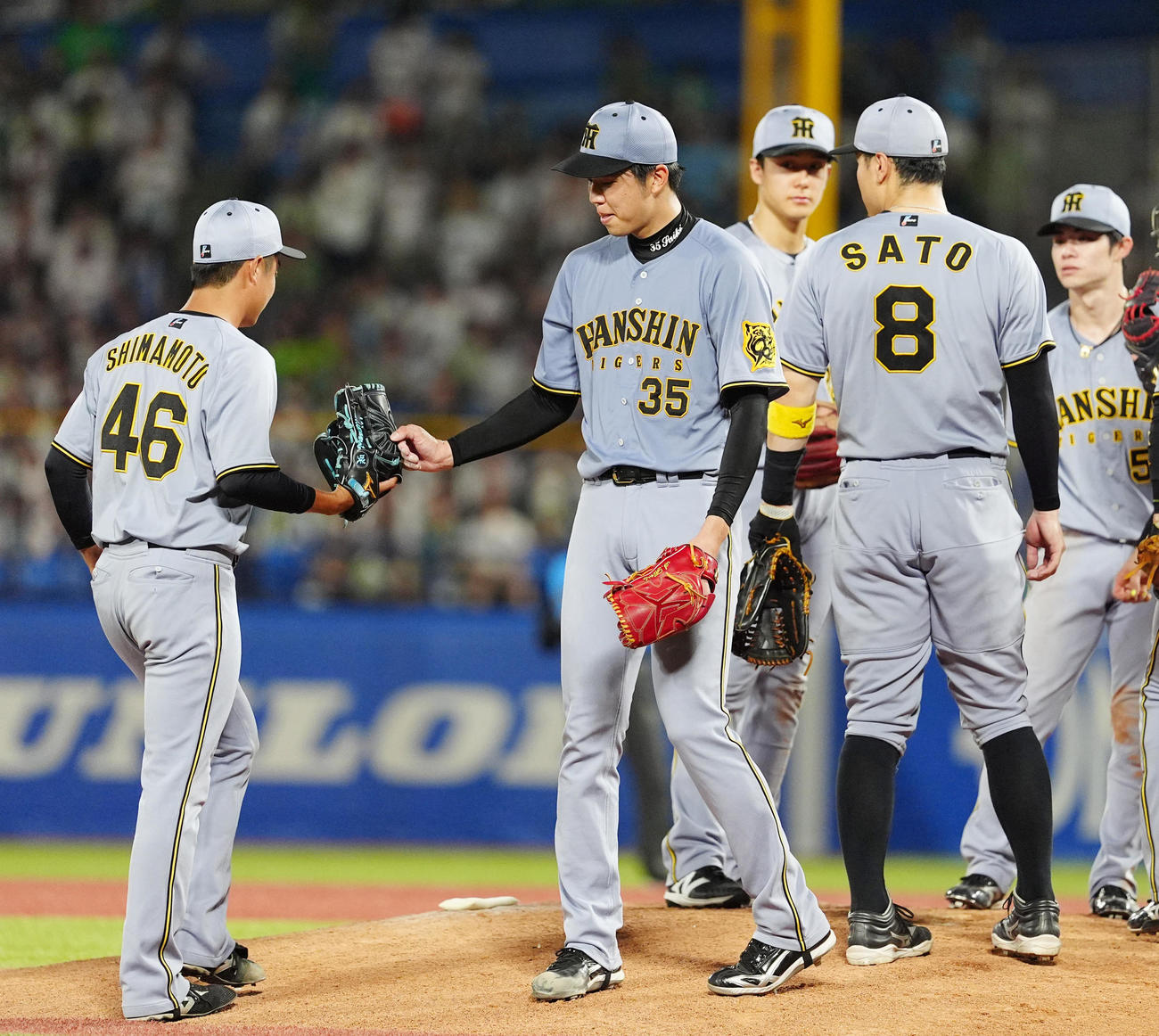 ヤクルト対阪神　8回ヤクルト2死、途中降板となった阪神才木（左から2人目）は島本（左）とタッチを交わす（撮影・清水貴仁）