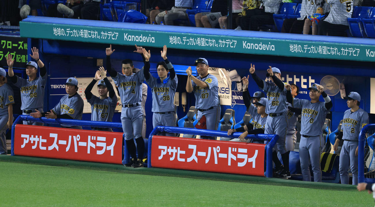 ヤクルト対阪神　8回表阪神2死満塁、森下が左3点適時二塁打を放ちバンザイで喜ぶ藤川監督（左）ら阪神ベンチ（撮影・浅見桂子）