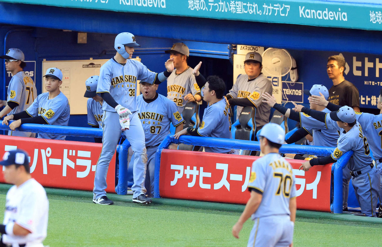 ヤクルト対阪神　3回表阪神2死一、二塁、中野の先制適時打で生還した小幡はナインとハイタッチ（撮影・浅見桂子）