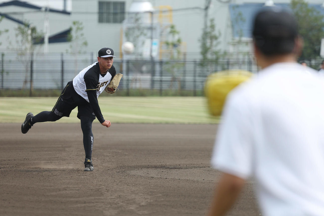 大竹（手前）とのキャッチボールで調整する阪神早川（撮影・前田充）