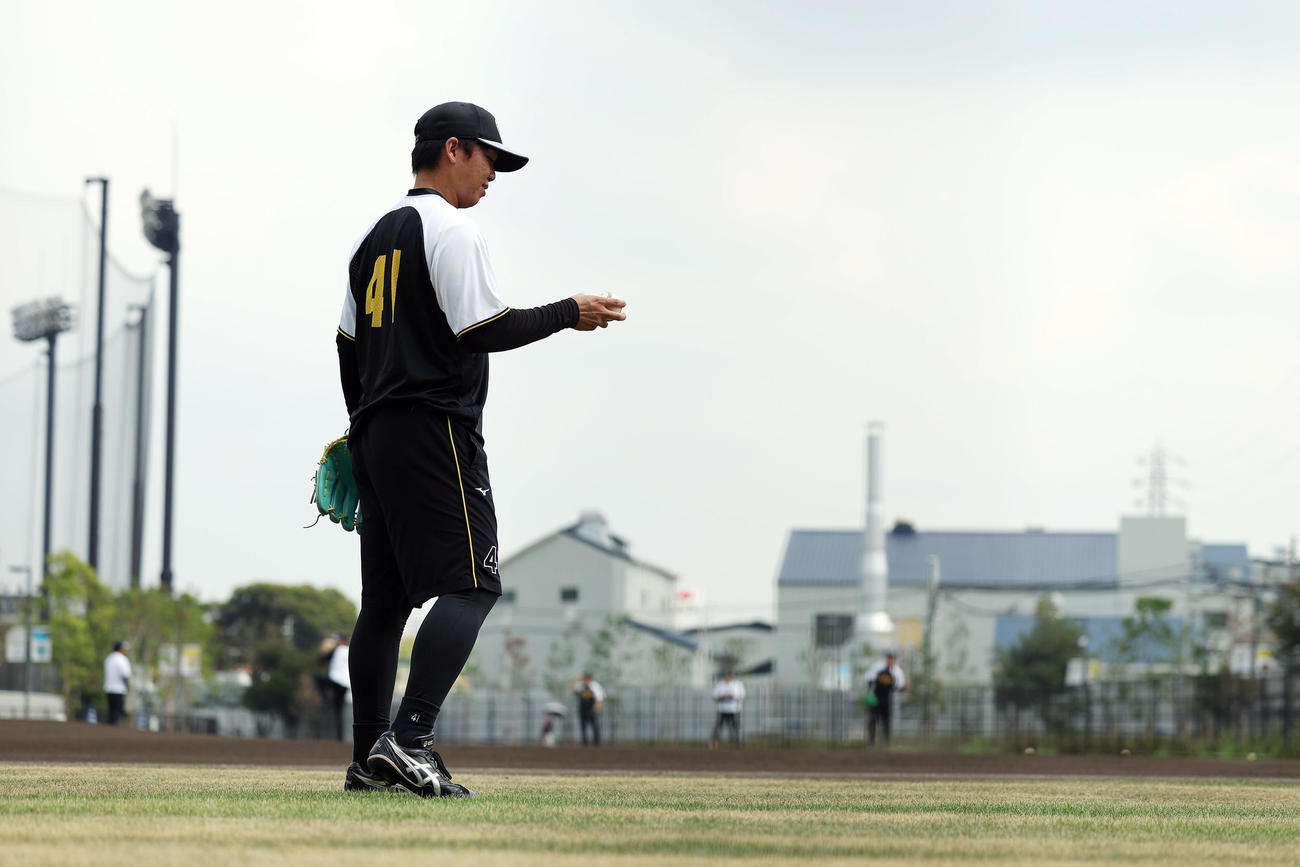 キャッチボールで調整する阪神村上（撮影・前田充）