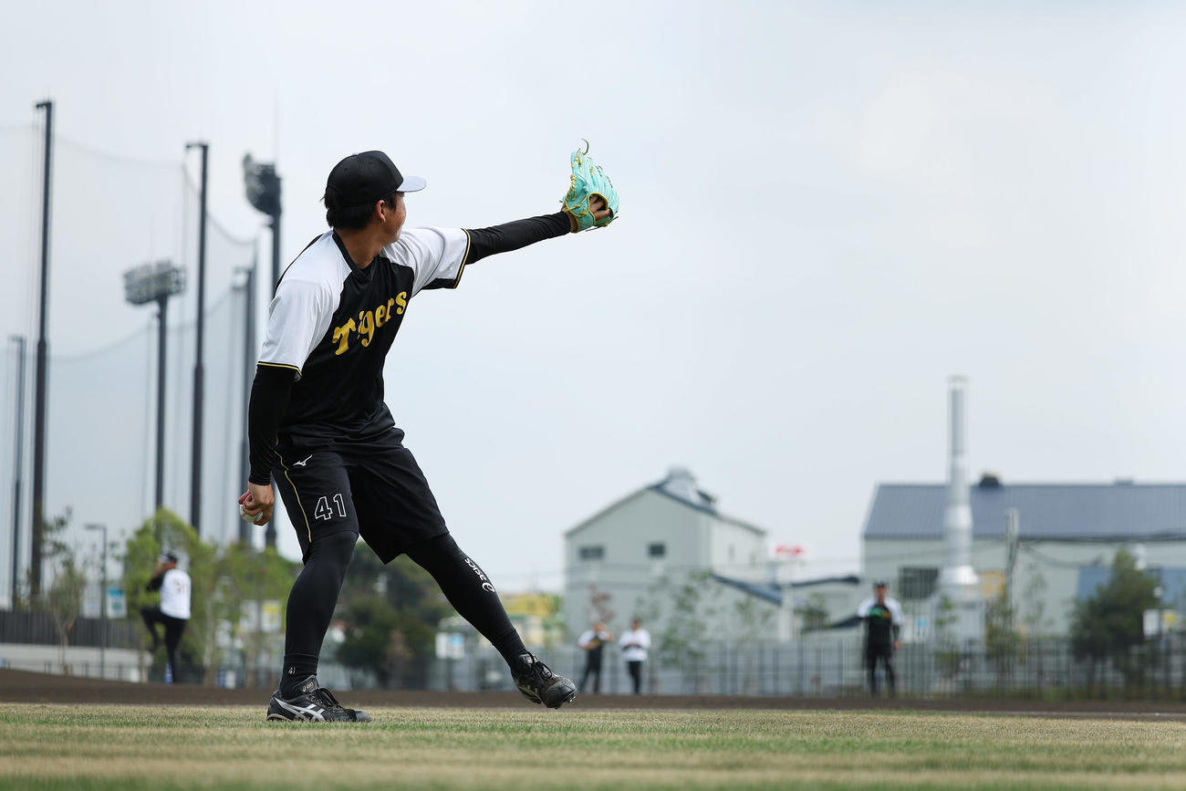 キャッチボールで調整する阪神村上（撮影・前田充）