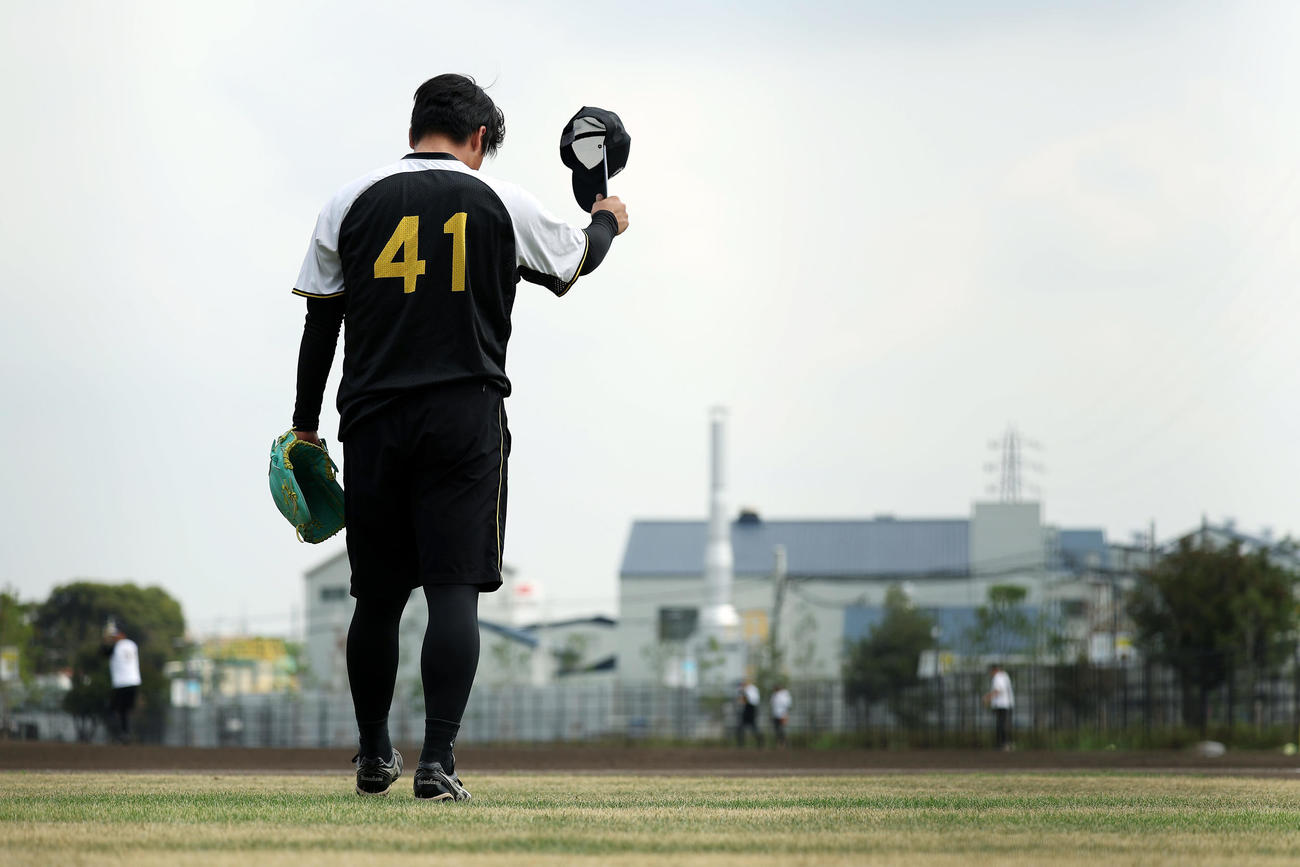 キャッチボールで調整する阪神村上（撮影・前田充）