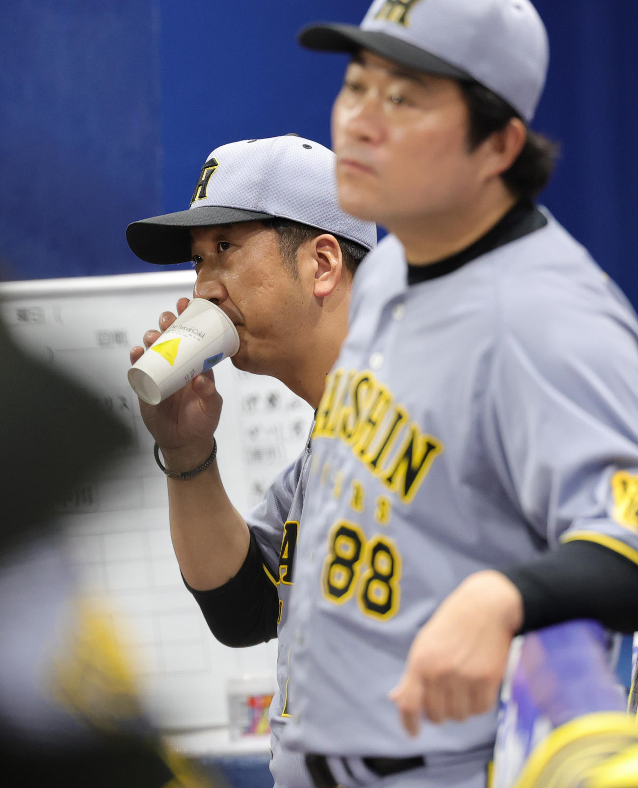 DeNA対阪神　ベンチで水分補給する阪神藤川監督（撮影・野上伸悟）
