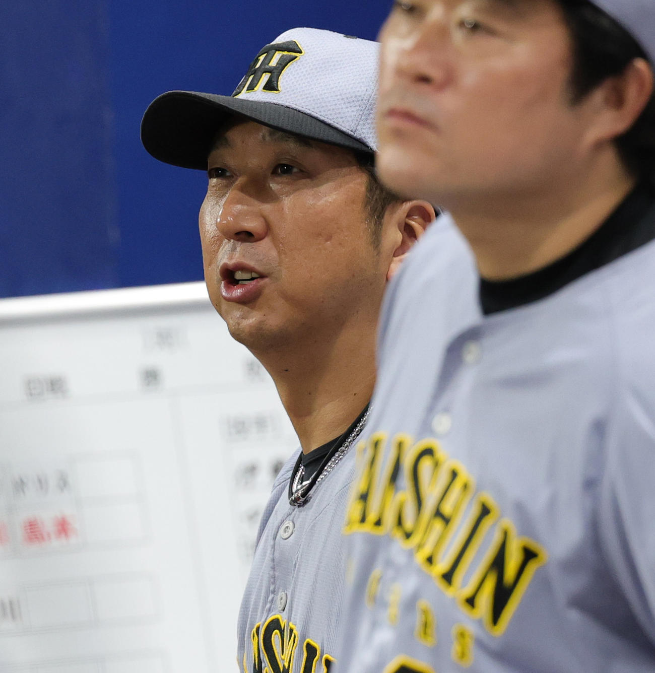 DeNA対阪神　試合を見つめる阪神藤川監督（撮影・野上伸悟）