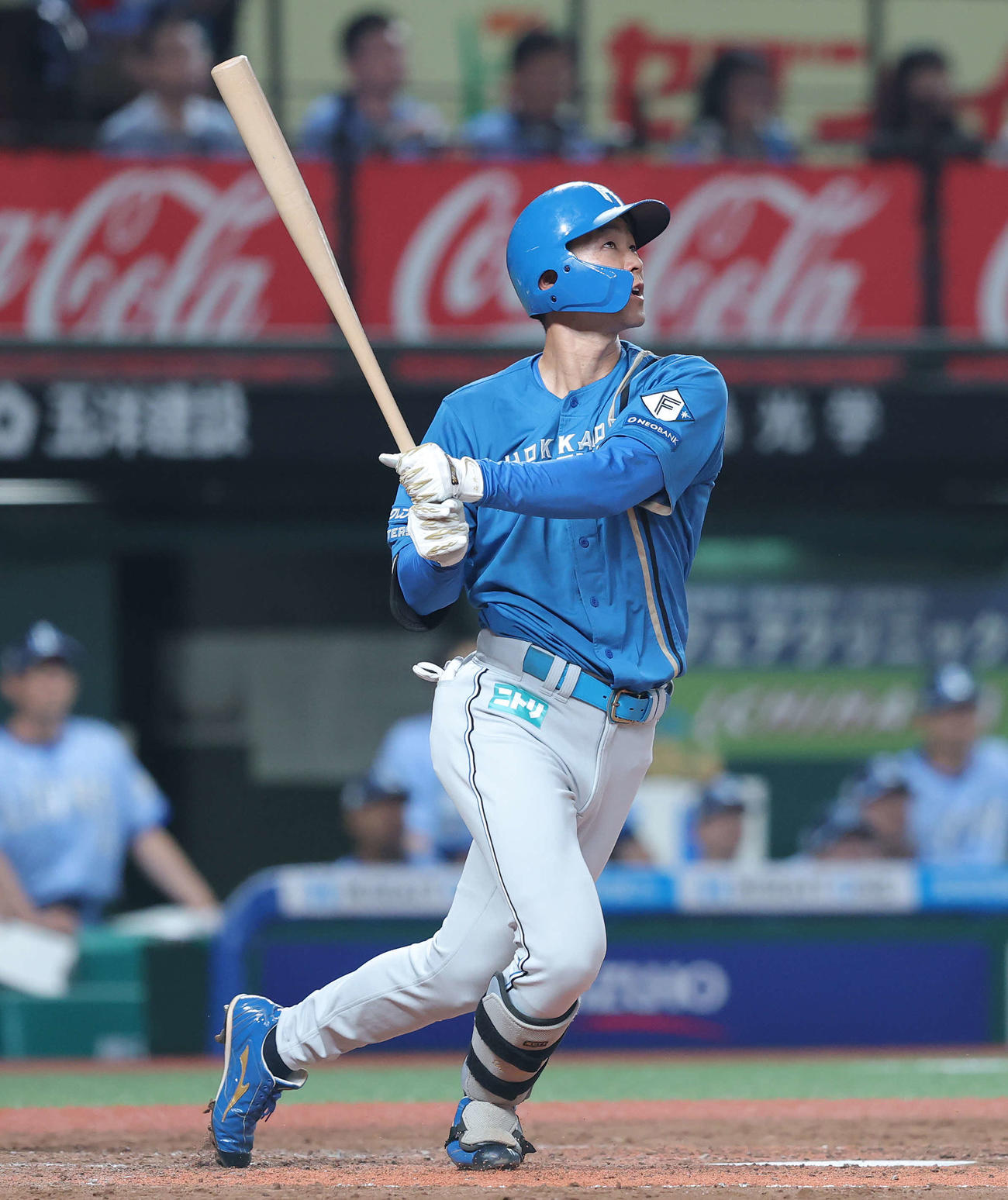 西武対日本ハム　3回表日本ハム2死、右越えソロ本塁打を放つ石井（撮影・河田真司）