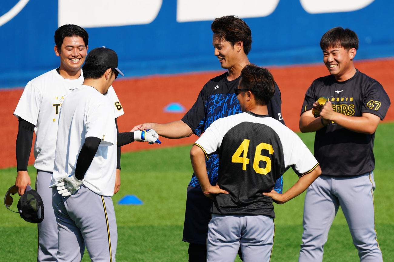 DeNA対阪神　試合前練習中、阪神岩貞（左から2人目）に手袋をはめられたDeNA藤浪（撮影・江口和貴）