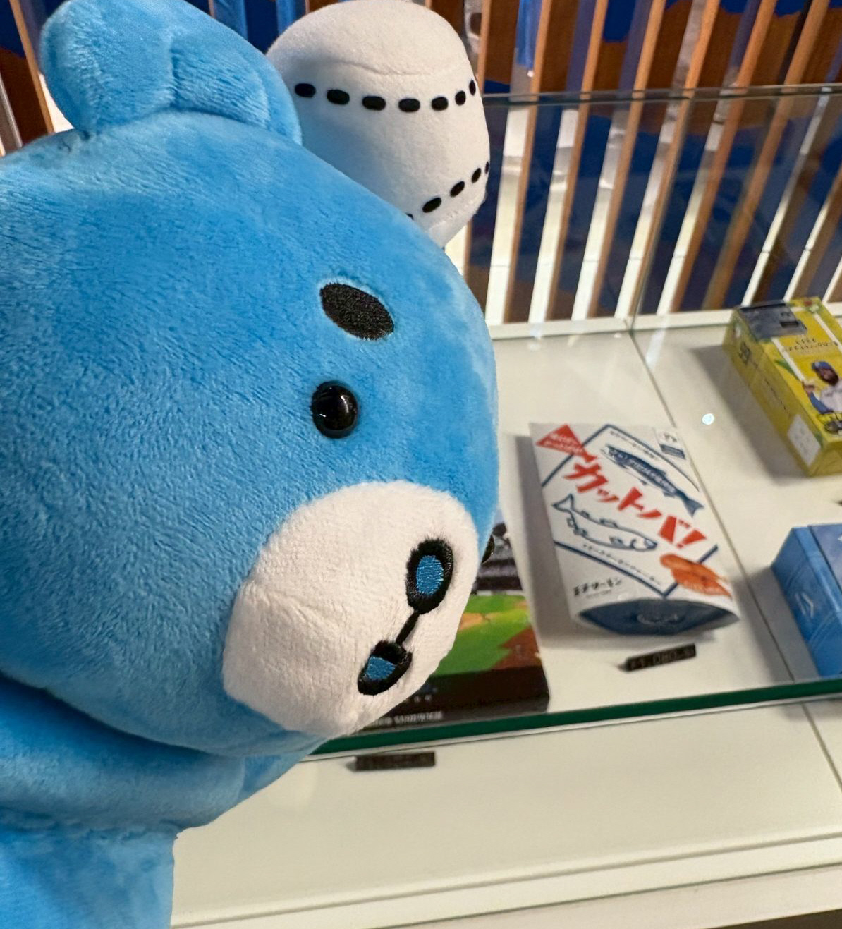 情報を聞いて早速、お菓子祭りのお店にやってきたえふたんは「カットバ！」を発見