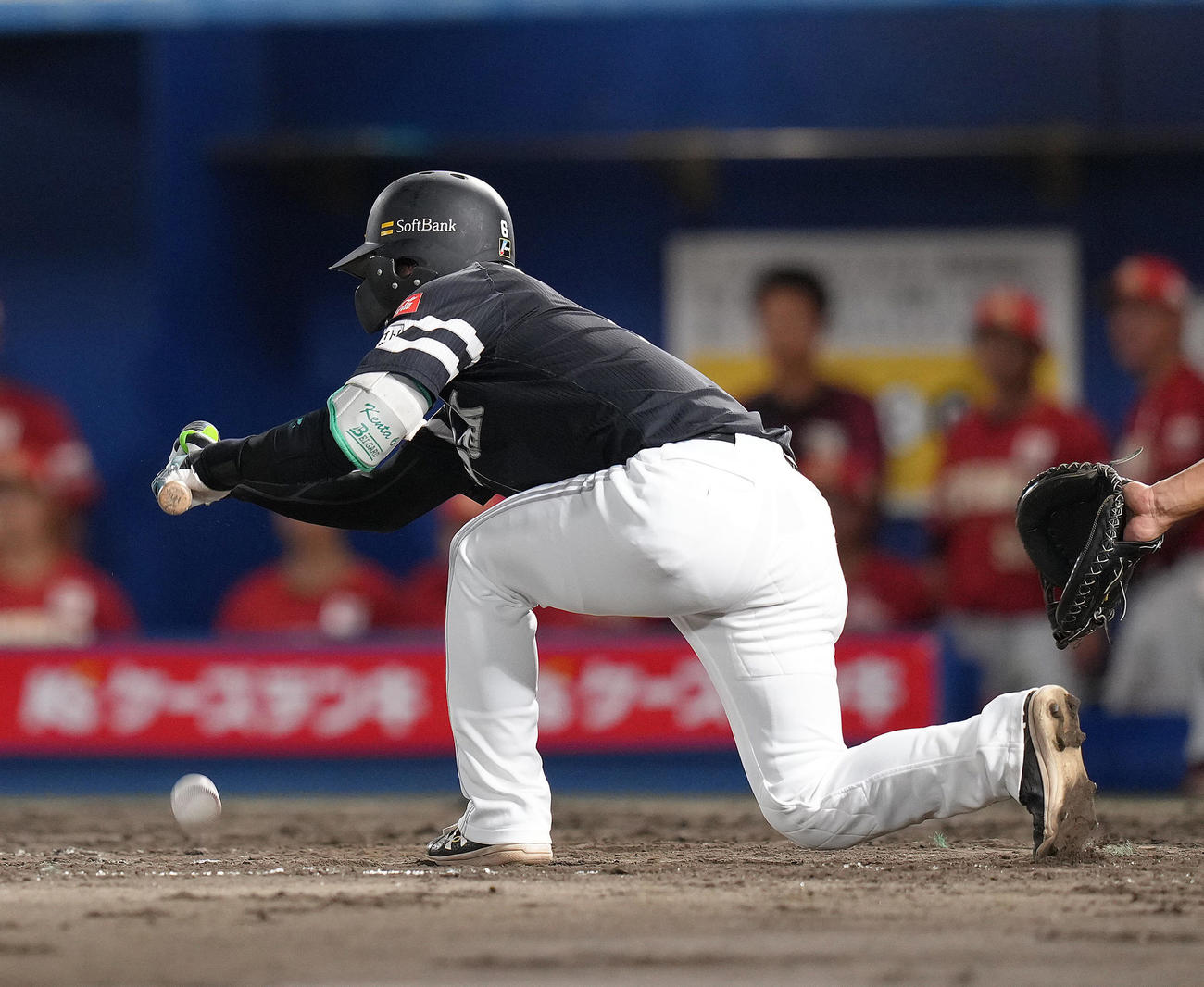 楽天対ソフトバンク　4回表ソフトバンク無死一塁、今宮は通算400犠打を決める（撮影・足立雅史）