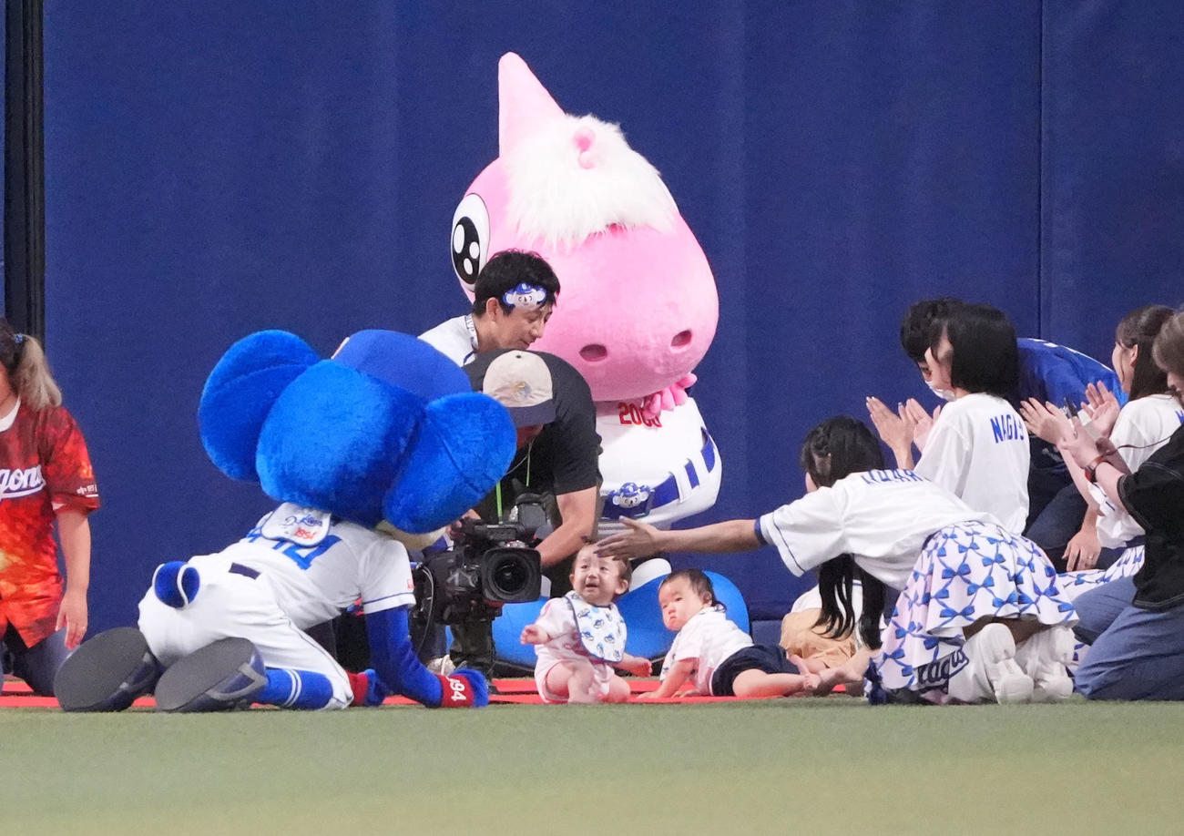 中日対ヤクルト　本日は「ドアラデー」5回終了時、赤ちゃんハイハイレースに臨むドアラ（撮影・森本幸一）