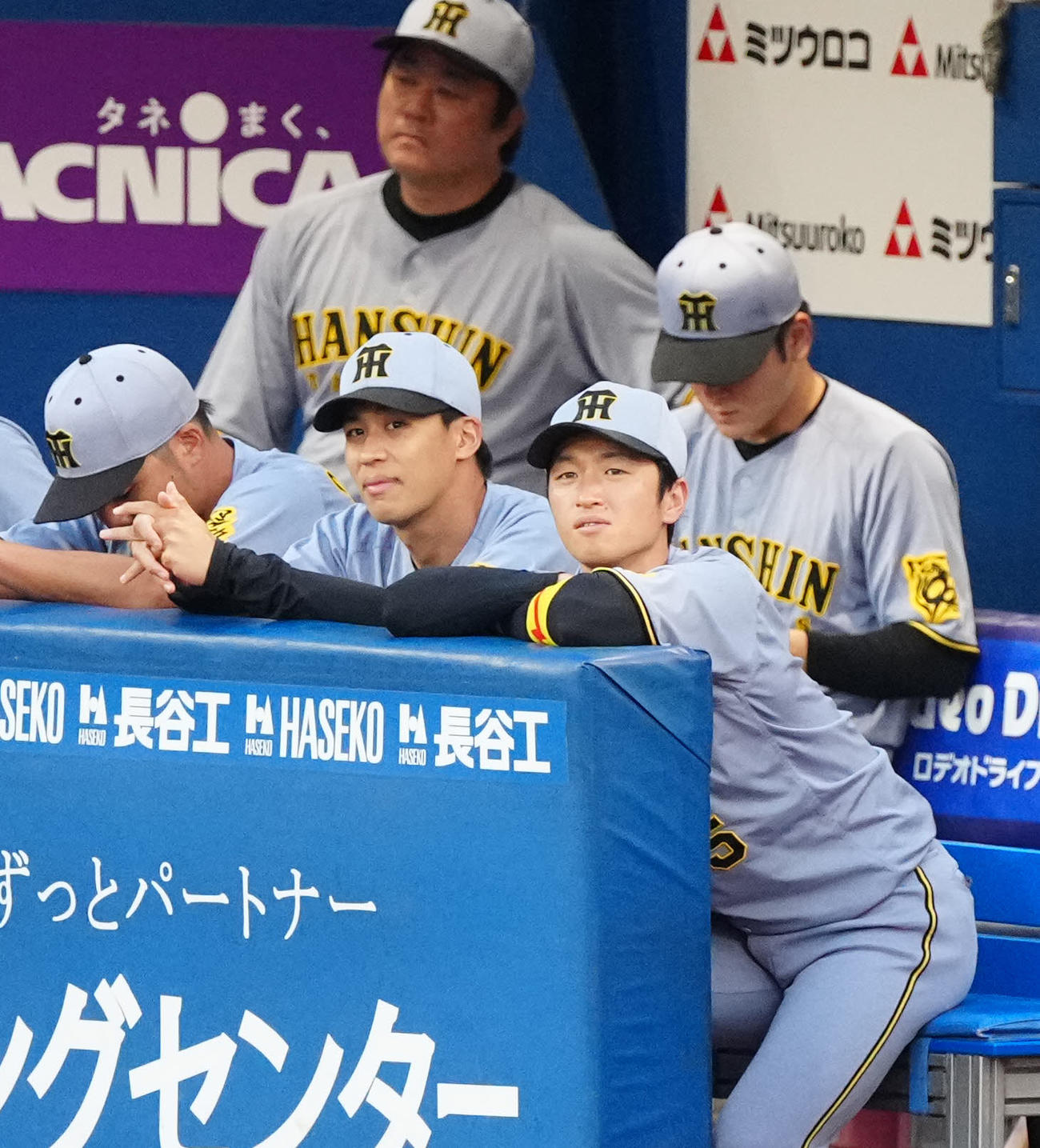 DeNA対阪神　1回表、ベンチから見つめる阪神近本（右）（撮影・江口和貴）