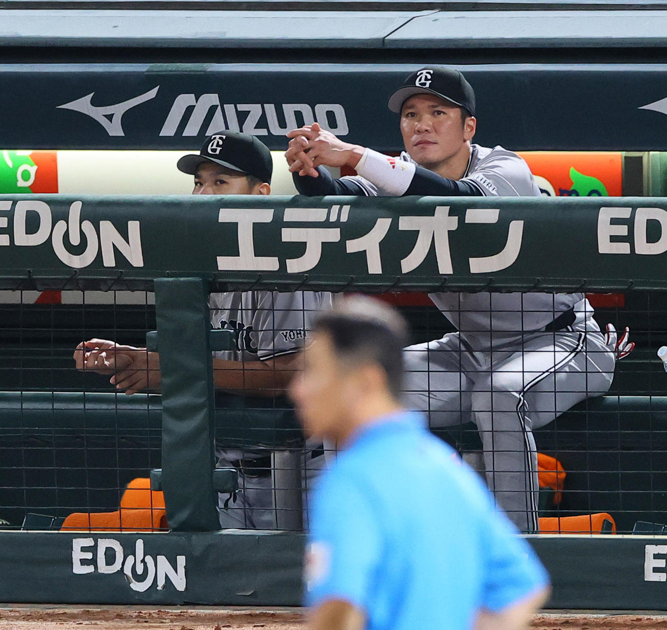 広島対巨人　7回、ベンチから試合を見る巨人田中将（左）と坂本（撮影・藤尾明華）